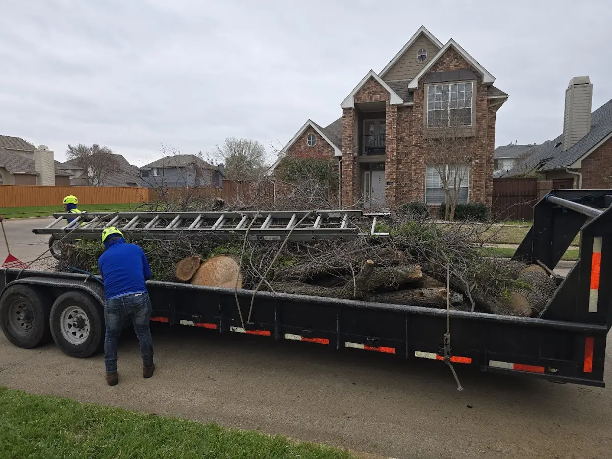 Expert Tree Fertilization with proper safety equipment in Yoder